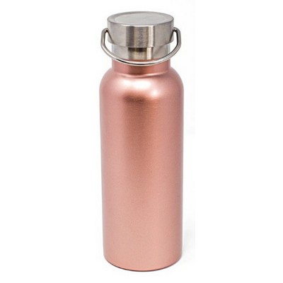 17oz Insulated Stainless Bottle